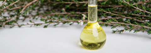 Manuka Essential Oil (Undiluted)