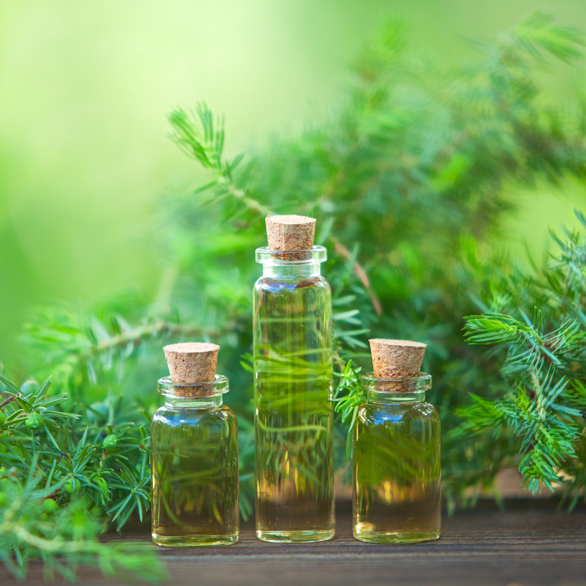 Tea Tree Essential Oil (Undiluted)