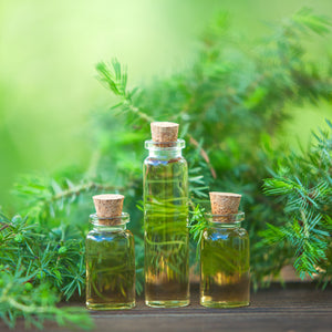 Tea Tree Essential Oil (Undiluted)