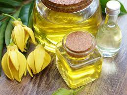 Ylang Ylang Essential Oil (Undiluted)